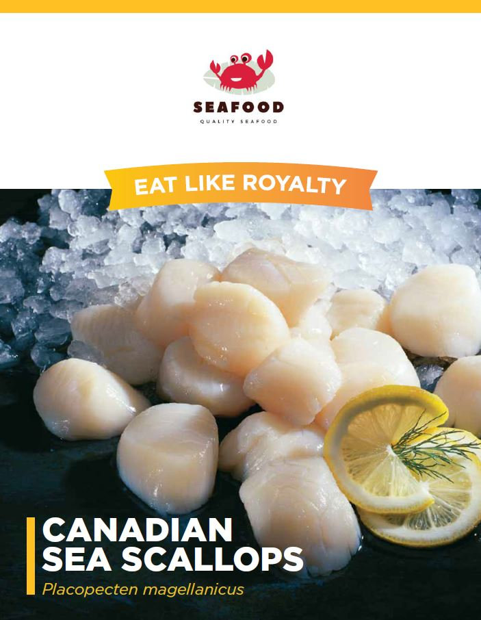Scallops Canadian | All Nations Trading